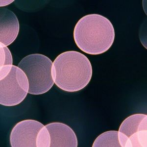 Meet your Posher, Michaela